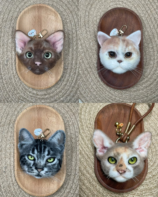 Customized Pet Ornaments