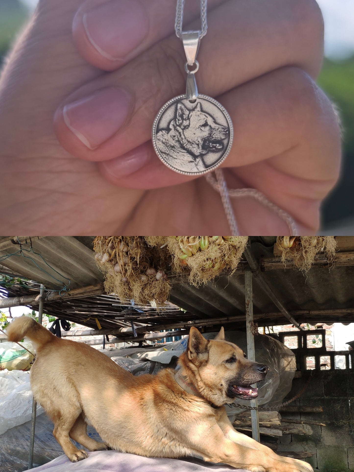 Furecho Personalized Pet Silver Necklace – Custom Name & Photo Memorial Gift